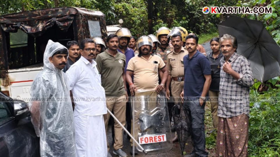 Forest department officials conducting a search operation