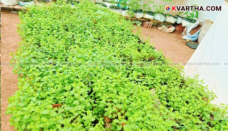 Aisha on her terrace with mint plants in grow bags.