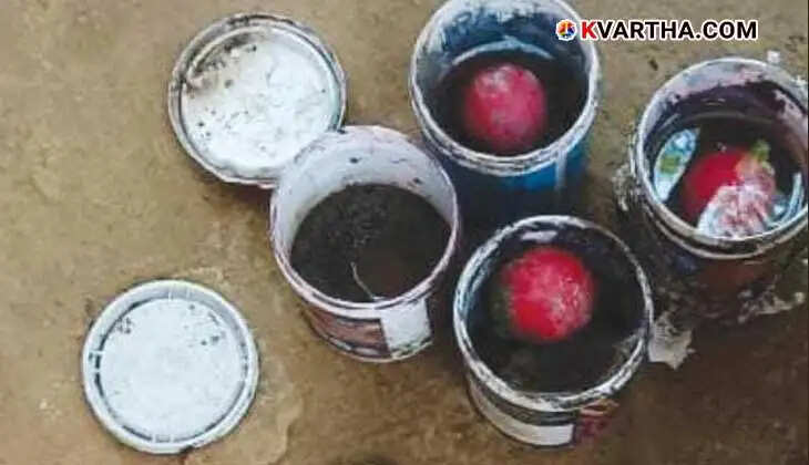Ice Cream Bombs Found on Roof in Kannur; One Arrested in Connection