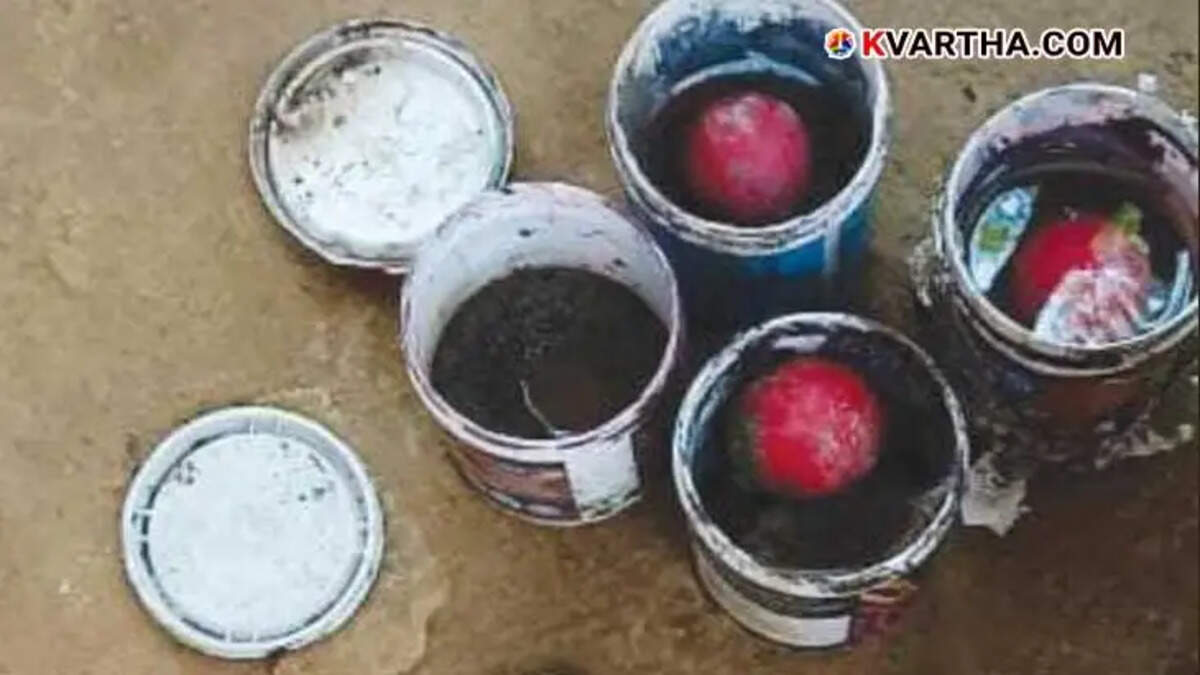 Ice Cream Bombs Found on Roof in Kannur; One Arrested in Connection