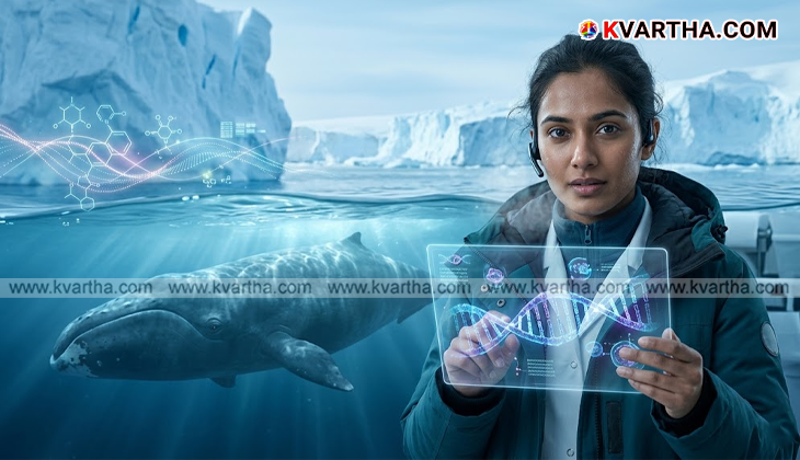 മനുഷ്യൻ്റെ ആയുസ്സ് വർധിപ്പിക്കാൻ തിമിംഗലങ്ങളിലെ പ്രോട്ടീൻ; പ്രതീക്ഷ നൽകി പുതിയ പഠനം