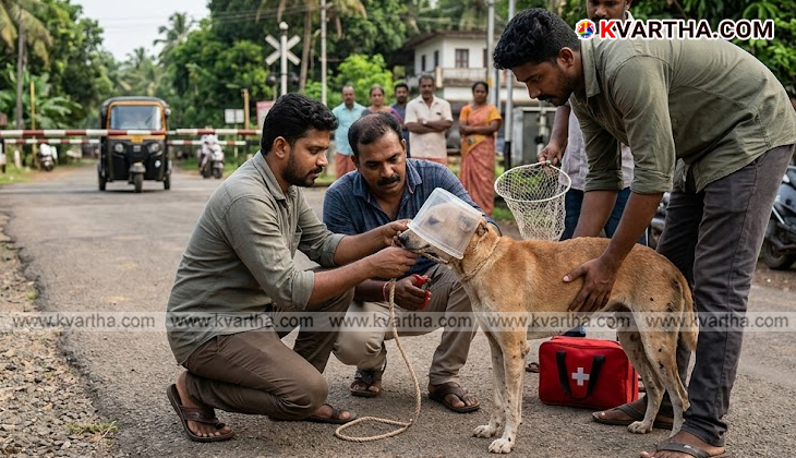പഴയങ്ങാടിയിൽ പ്ലാസ്റ്റിക് ഭരണിയിൽ തലകുടുങ്ങിയ നായയ്ക്ക് രക്ഷകരായി മാർക്ക് പ്രവർത്തകർ