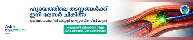 Aster mims 04/11/2022