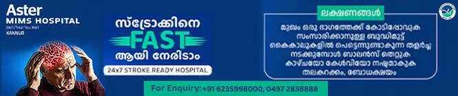 Aster mims 04/11/2022